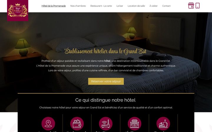 Screenshot of hoteldelapromenade.fr