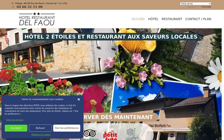 Screenshot of hoteldelfaou.fr