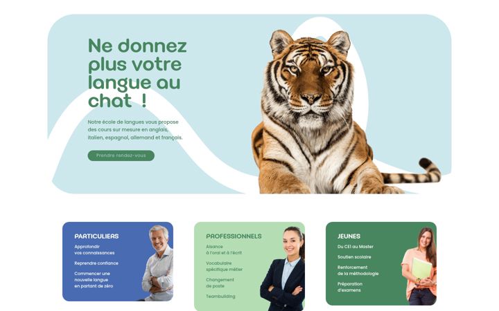 Screenshot of hoteldeslangues.com