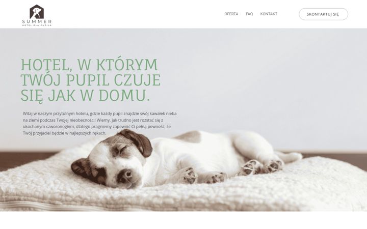 Screenshot of hoteldlapupila.pl