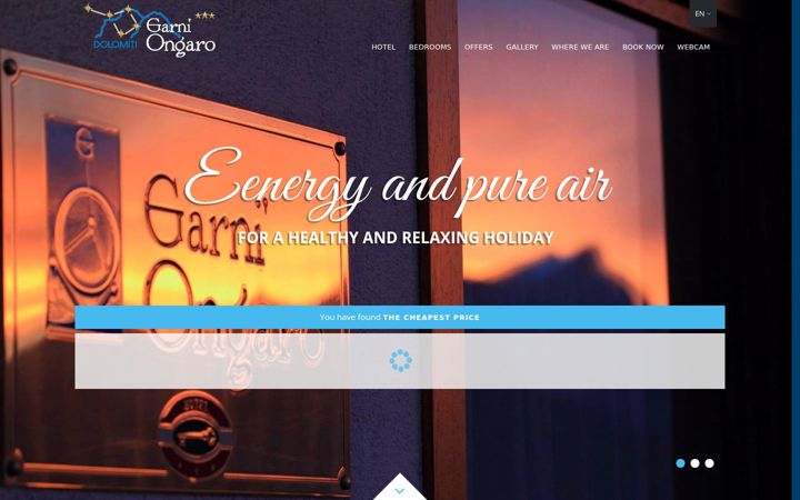 Zrzut ekranu hotelgarniongaro.com
