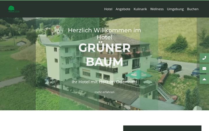 Screenshot of hotelgruenerbaum.de