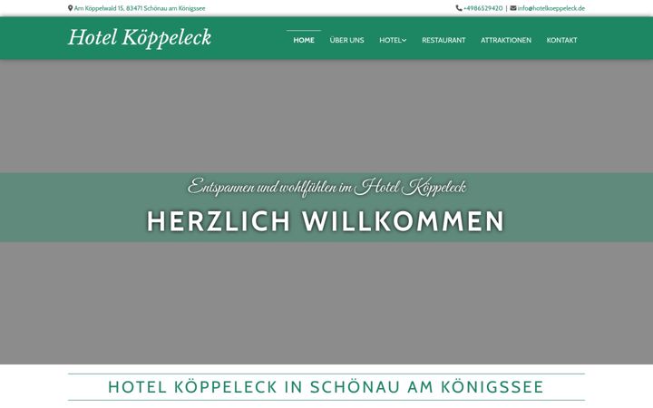Kuvakaappaus sivustosta hotelkoeppeleck.de