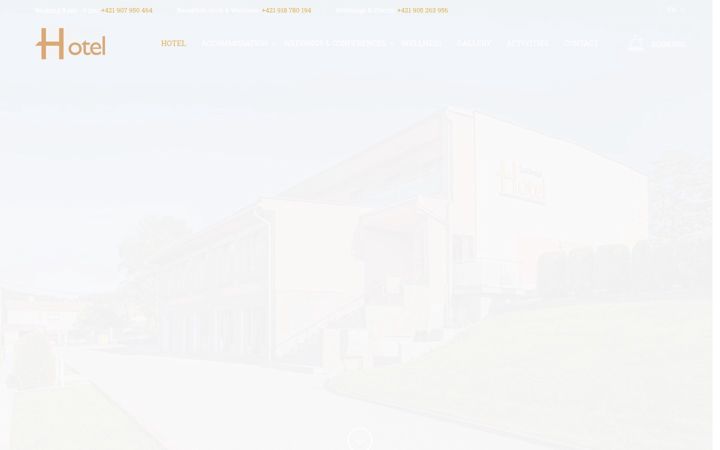 Screenshot of hotellucivna.sk