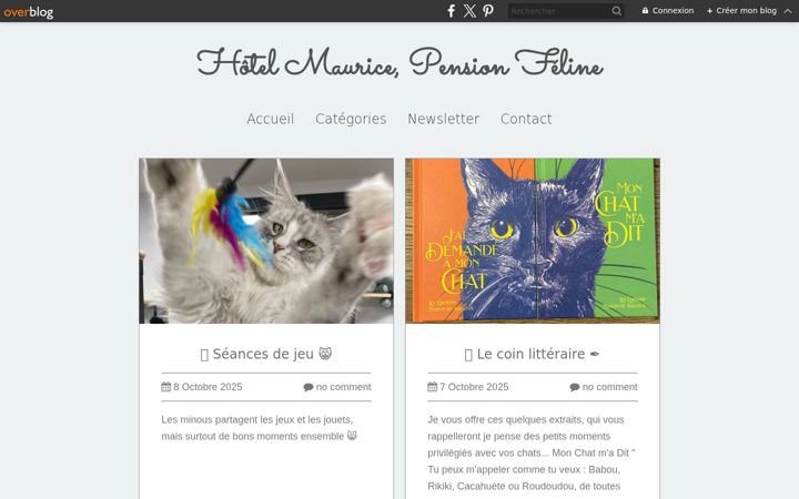 Screenshot of hotelmaurice.fr