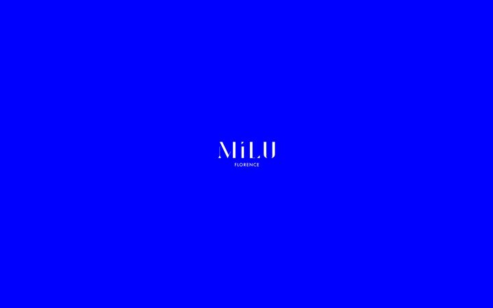 Screenshot of hotelmilu.com