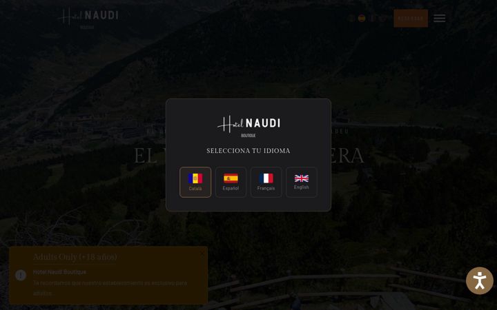 Screenshot of hotelnaudi.com