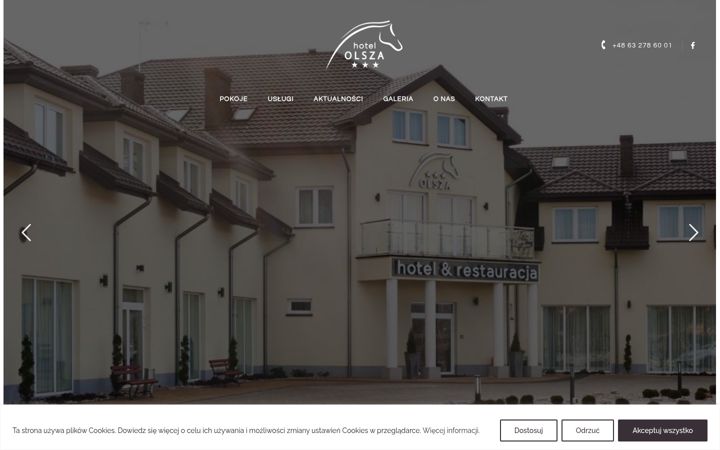 Screenshot of hotelolsza.pl