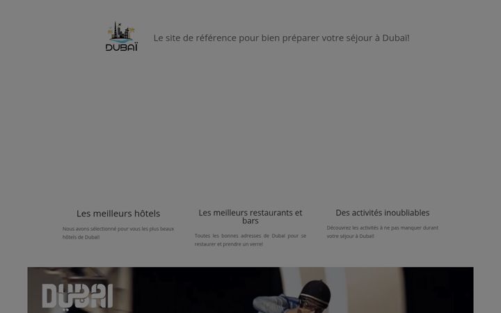 Screenshot of hotels-dubai.fr
