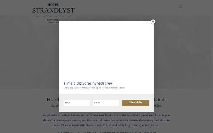 Screenshot of hotelstrandlyst.dk
