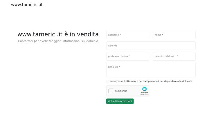 Screenshot of hoteltamerici.com