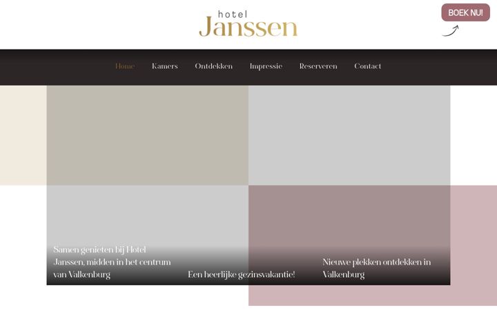 Screenshot of hotelvalkenburg.nl