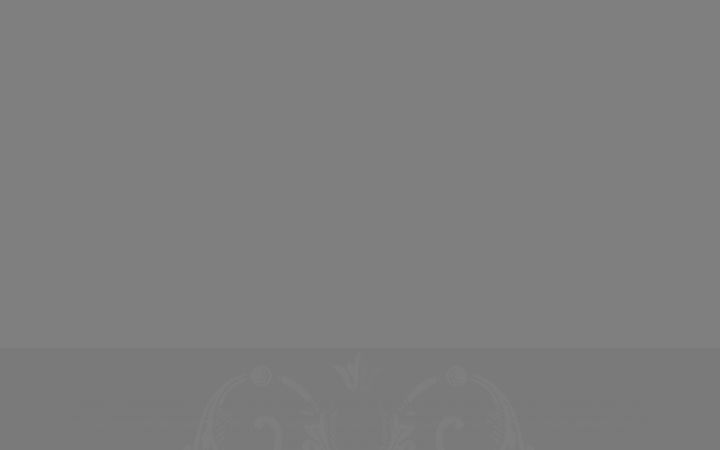 Screenshot of hottinger.co.uk