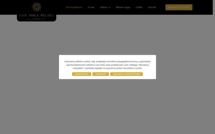 Screenshot of hotyogapilawa.pl