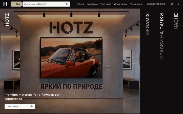 Screenshot of hotz-global.com