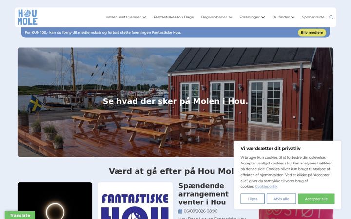 Screenshot of houmole.dk