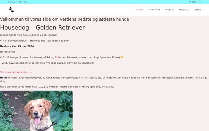 Screenshot of housedog.dk