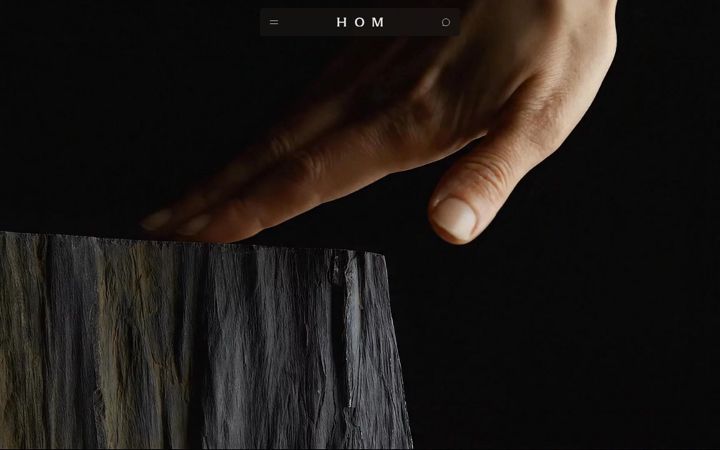 Screenshot of houseofmanus.ch