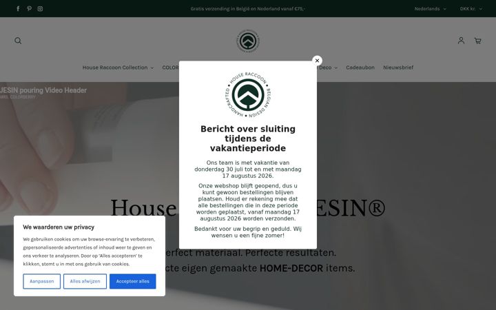 Screenshot of houseraccoon.com