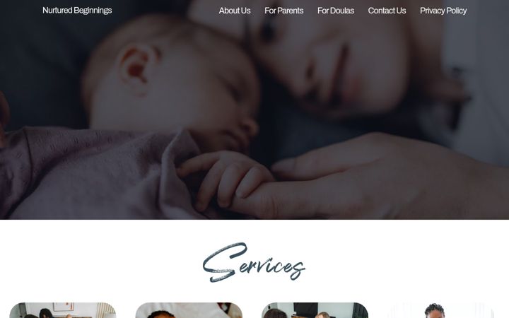 Screenshot of houstonwombservice.com