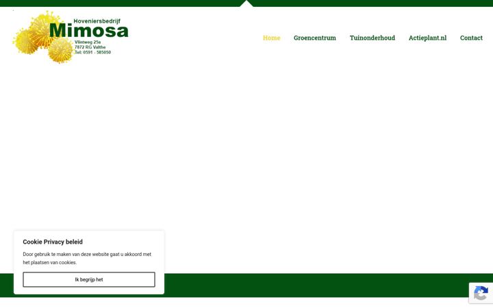 Screenshot of hoveniersbedrijfmimosa.nl