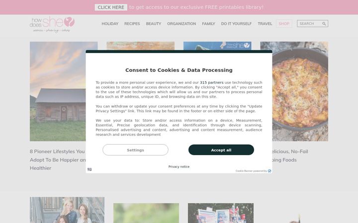 Kuvakaappaus sivustosta howdoesshe.com