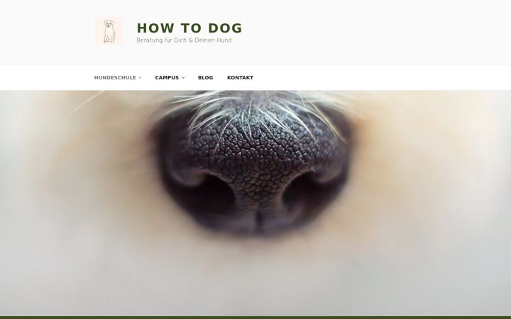 Screenshot of howtodog.de