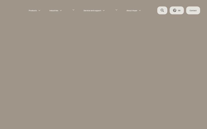 Screenshot of hoyermotors.com