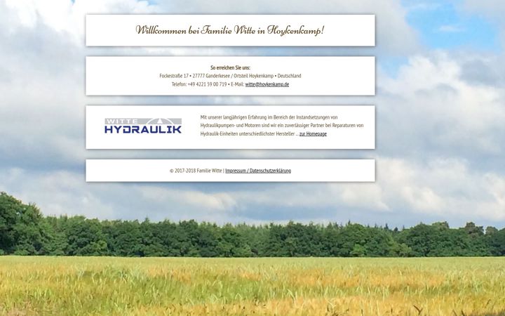 Screenshot of hoykenkamp.de