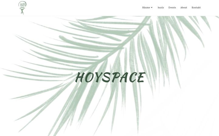 Screenshot of hoyspace.de
