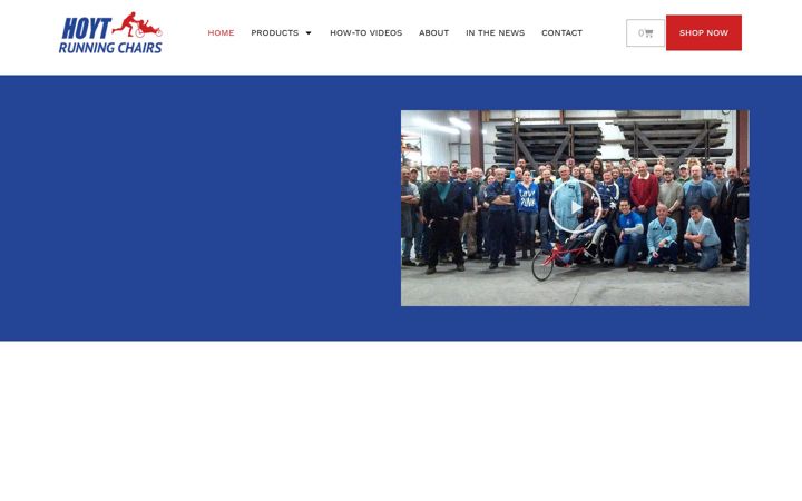 Screenshot of hoytrunningchairs.com