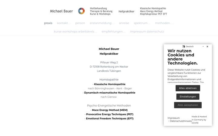 Screenshot of hp-michael-bauer.de