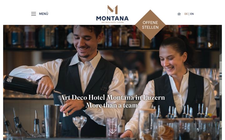 Screenshot of hr-hotel-montana.ch