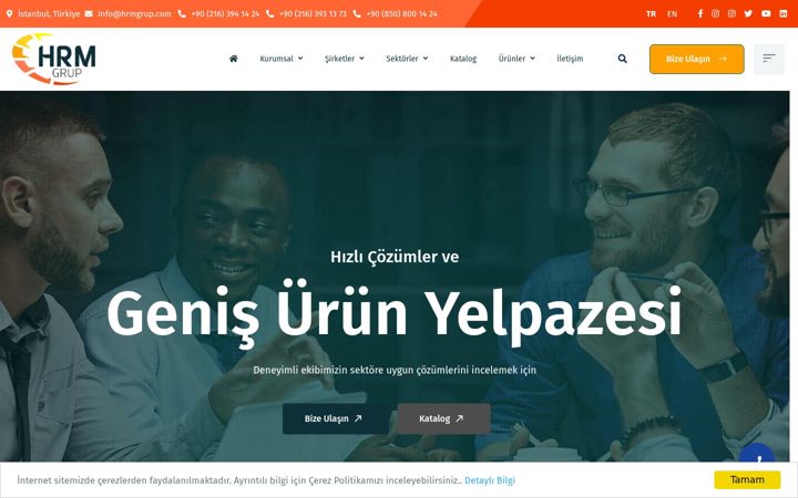 Screenshot of hrmgrup.com