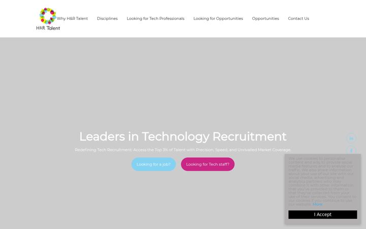 Screenshot of hrtalent-it.com