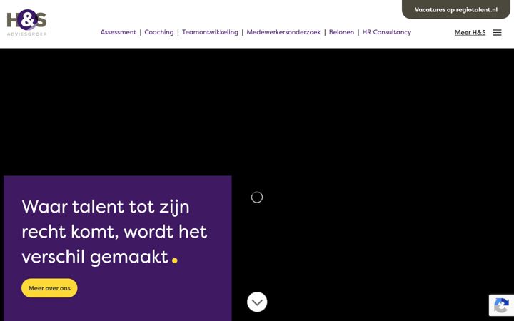 Screenshot of hsadviesgroep.nl