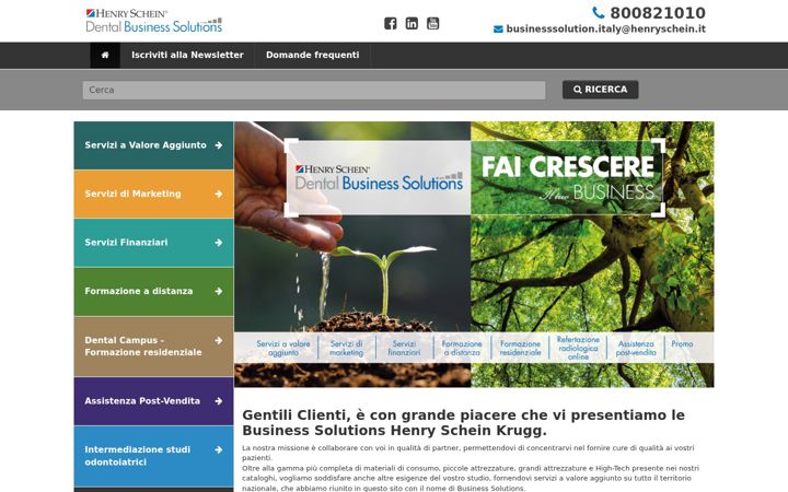 Screenshot of hsbusinesssolutions.it