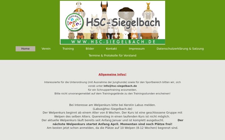 Screenshot of hsc-siegelbach.de