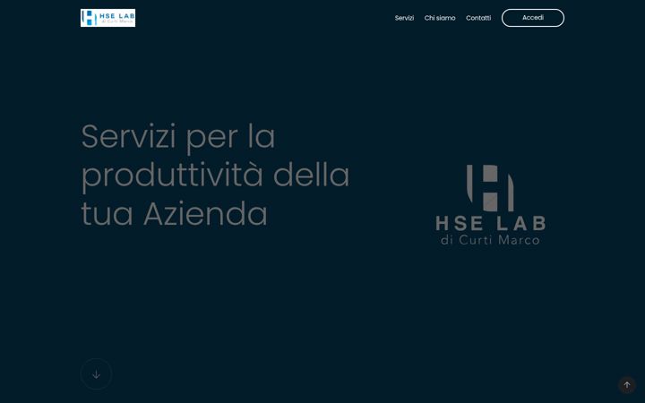 Screenshot of hselab.it