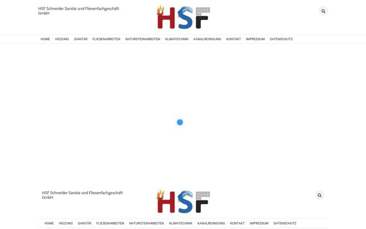 Screenshot of hsf-schneider.de
