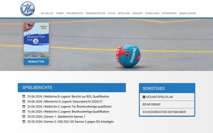 Screenshot of hsg-dornheim-gross-gerau.de