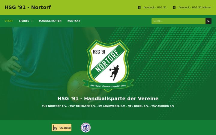 Screenshot of hsg91.de