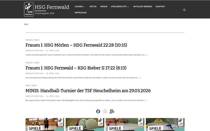 Screenshot of hsgfernwald.de