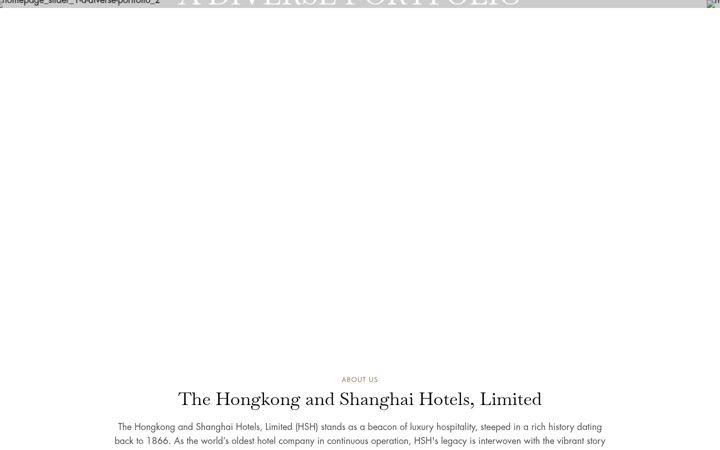 Screenshot of hshgroup.com