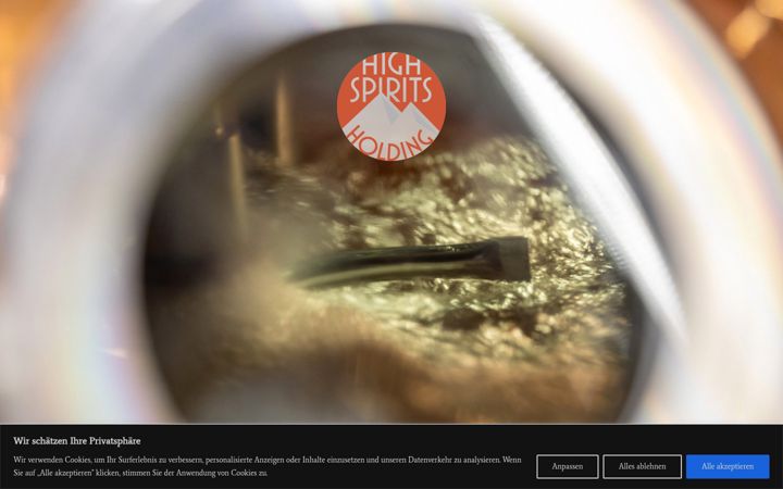 Screenshot of hsholding.ch