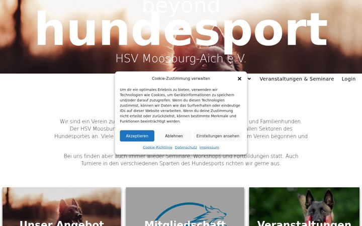 Screenshot of hsv-moosburg-aich.de