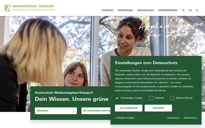 Screenshot of hswt.de