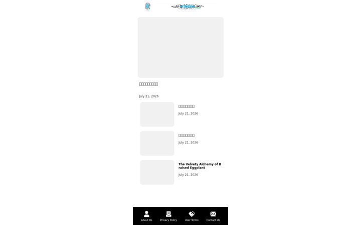 Screenshot of httptheinformer.cc