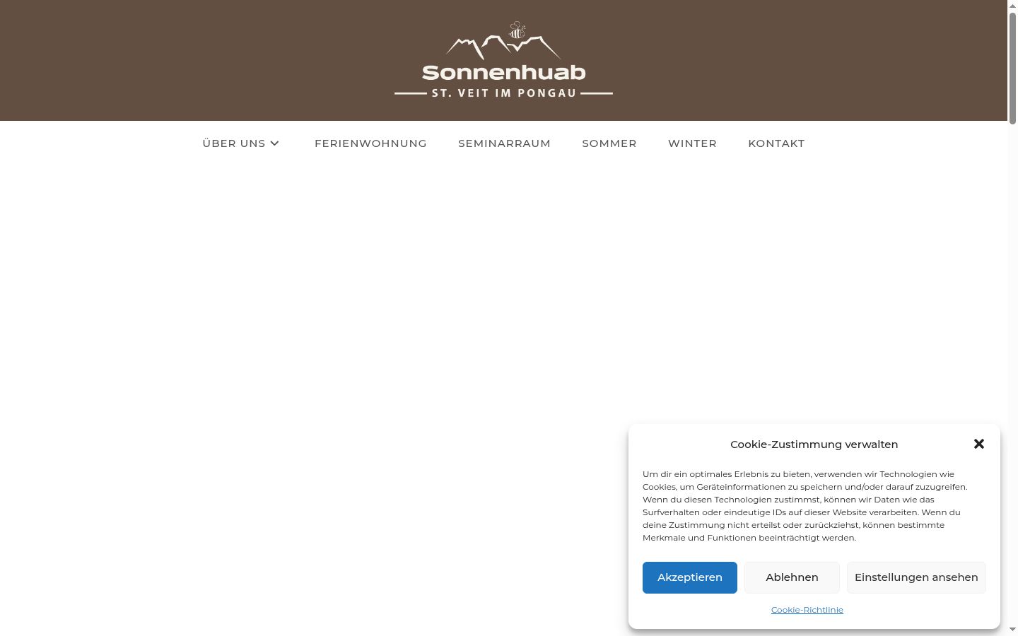 Screenshot of the consent banner shown before any interaction