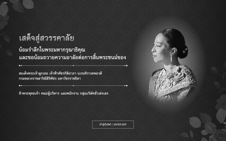 Screenshot of huasengheng.com